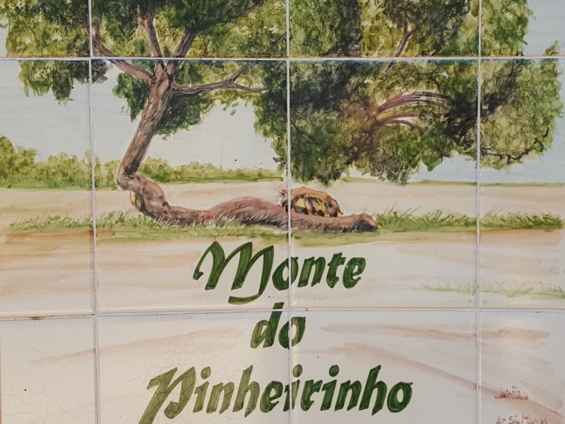 Monte do Pinheirinho